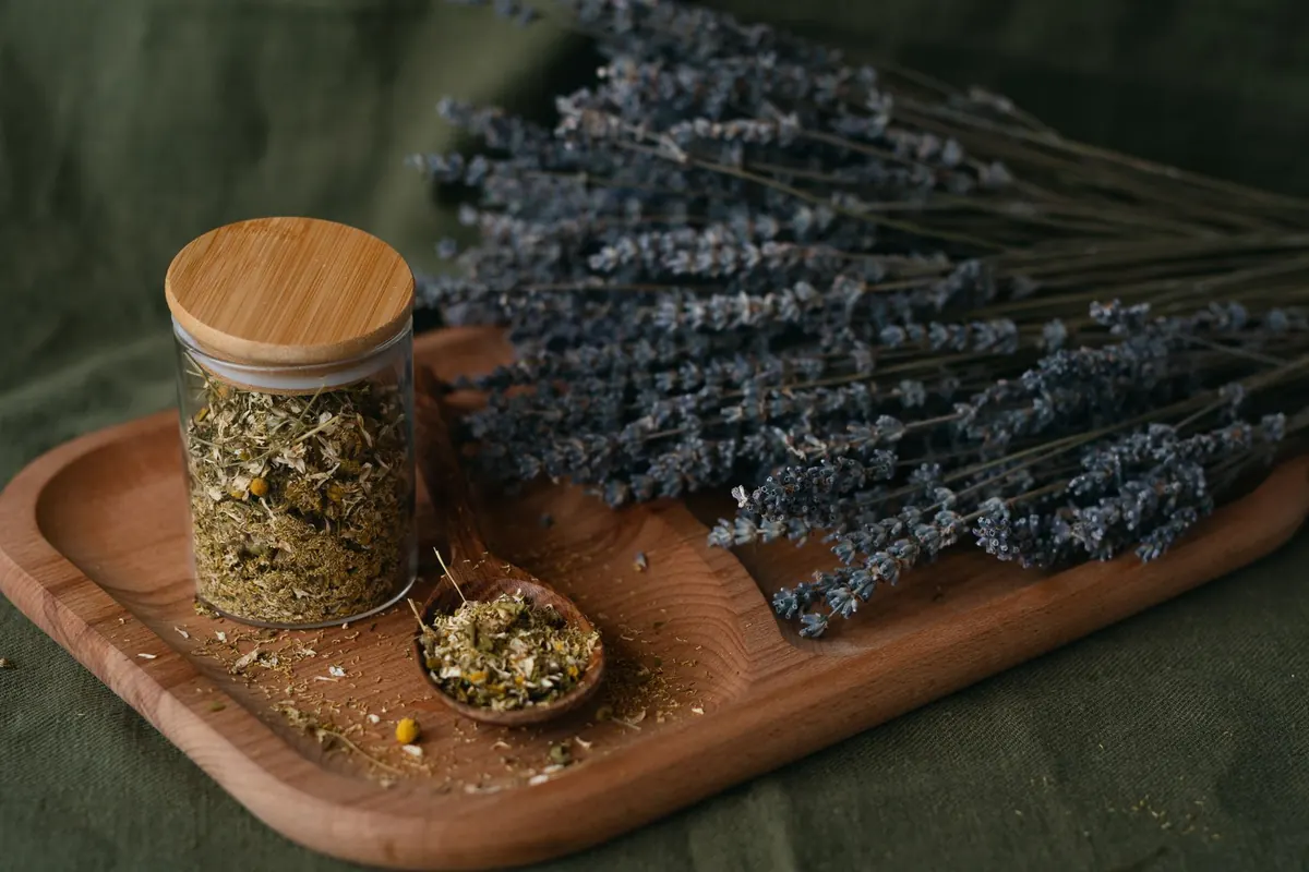 Herbal Teas for Better Sleep: A Beginner's Guide to Evening Blends